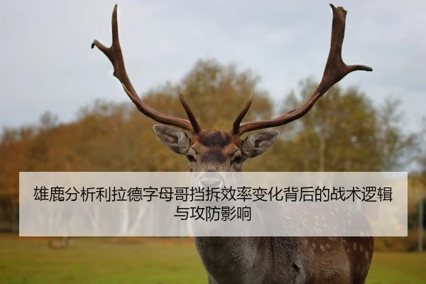 雄鹿分析利拉德字母哥挡拆效率变化背后的战术逻辑与攻防影响