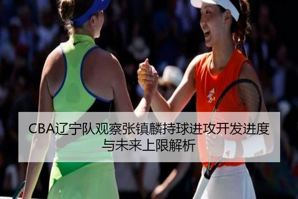 CBA辽宁队观察张镇麟持球进攻开发进度与未来上限解析
