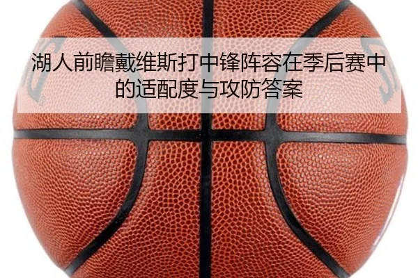 湖人前瞻戴维斯打中锋阵容在季后赛中的适配度与攻防答案