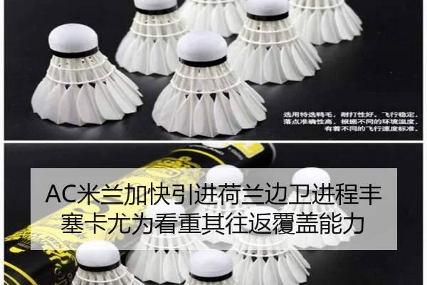 AC米兰加快引进荷兰边卫进程丰塞卡尤为看重其往返覆盖能力