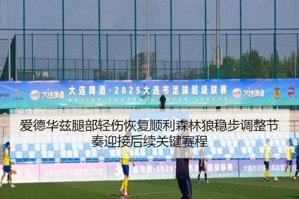 爱德华兹腿部轻伤恢复顺利森林狼稳步调整节奏迎接后续关键赛程